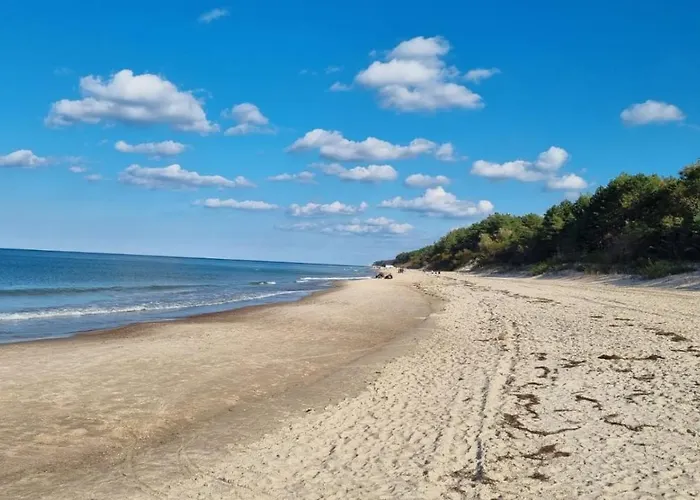 Bielik * Miedzyzdroje